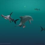 Shark Eaters: Rise of the Dolphins
Shark Eaters: Rise of the Dolphins gerçekçi oyun mekaniklerine sahip bir köpekbalığı avlama oyunudur
ÜCRETLİ